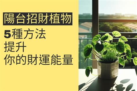 陽台種花招財|陽台植物招財秘笈：15種招財植物打造財源廣進 